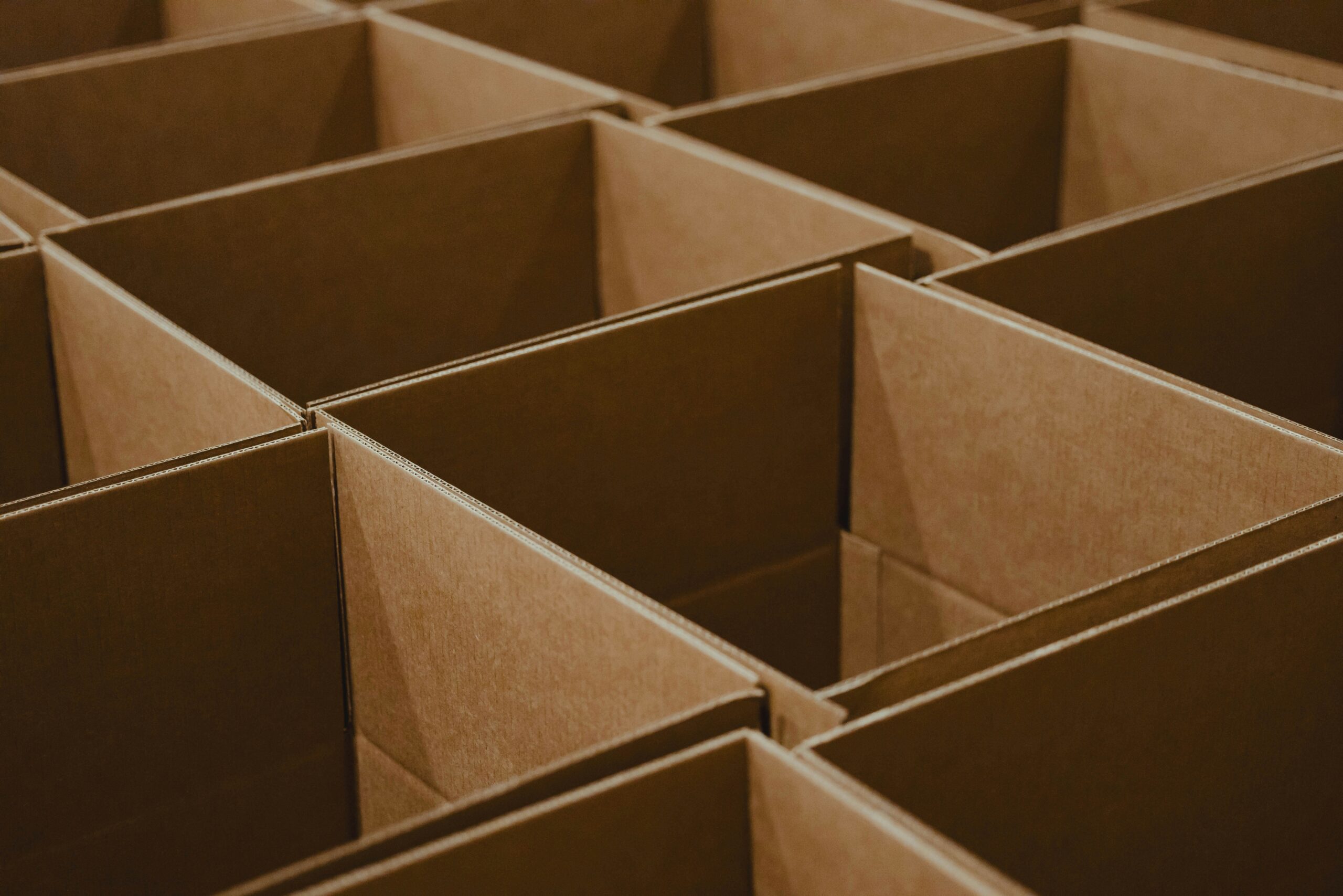 Rows of open cardboard cartons ready to be packed